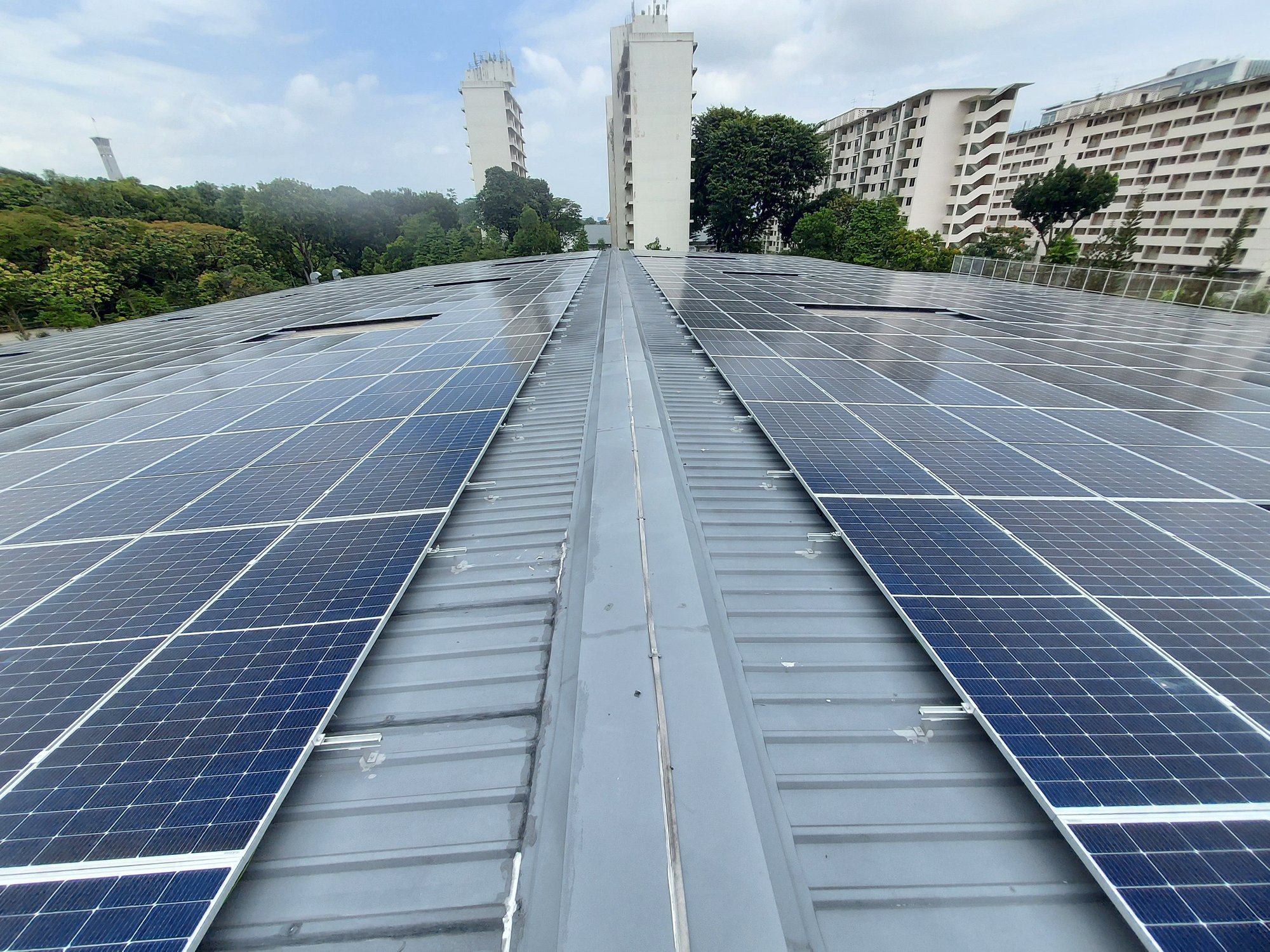 3.2.2.10.5_Magnolia_General